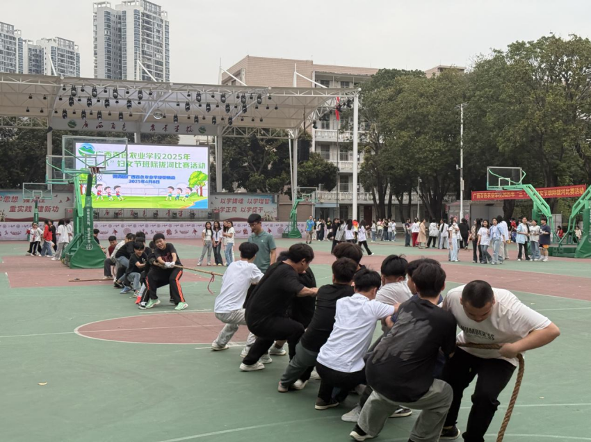 图片 3.png